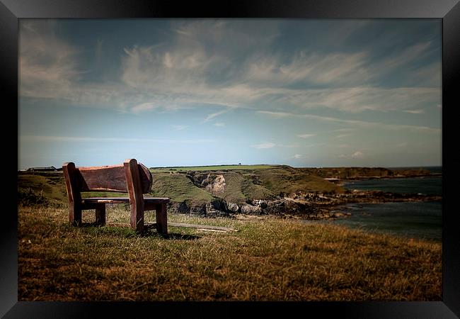 Lonely View Framed Print by Sean Wareing