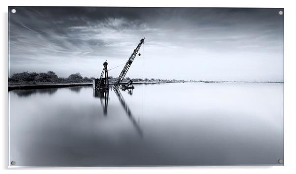 Simply Crane Acrylic by Ian Hufton