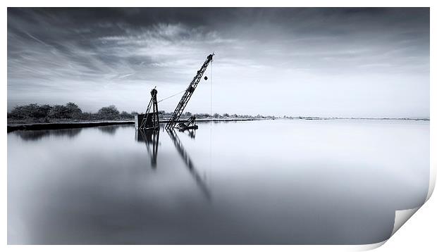 Simply Crane Print by Ian Hufton