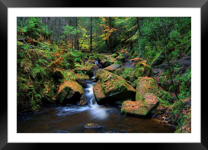Wyming Brook with Autumn Colours Framed Mounted Print by Darren Galpin