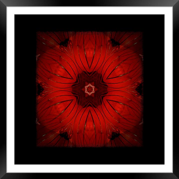 red kaleidoscope Framed Mounted Print by Heather Newton