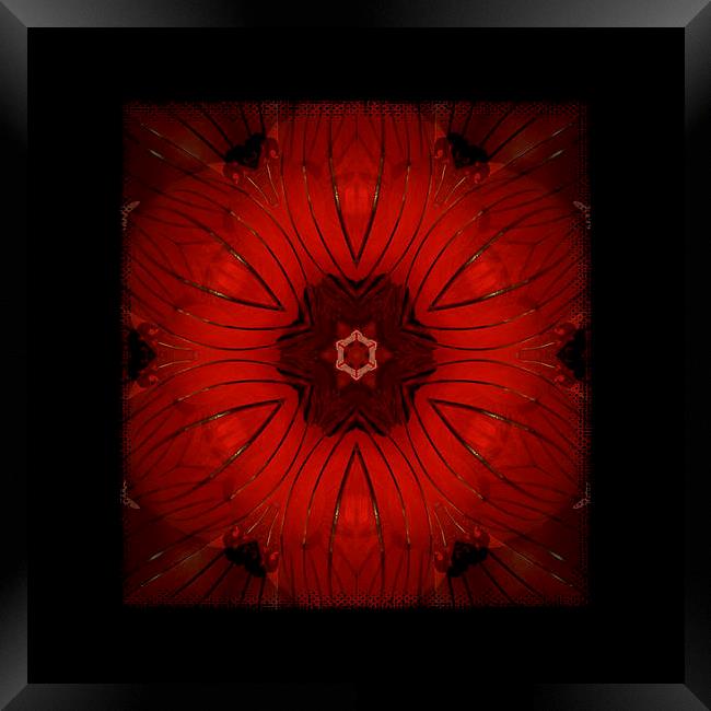 red kaleidoscope Framed Print by Heather Newton