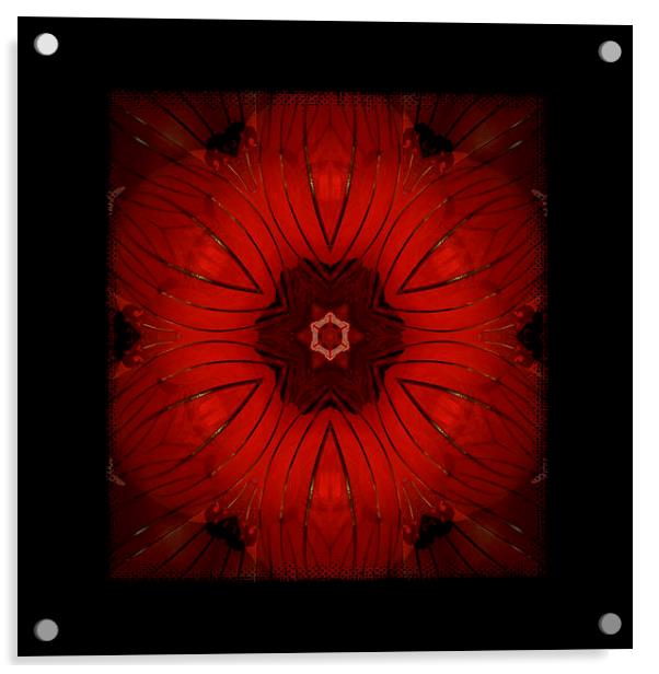 red kaleidoscope Acrylic by Heather Newton