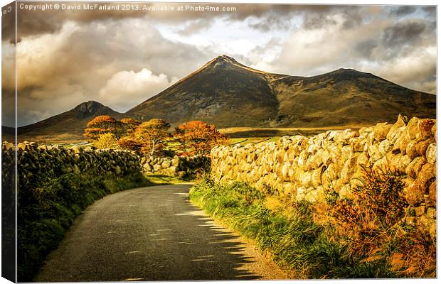 Autumn in the Mournes Canvas Print by David McFarland