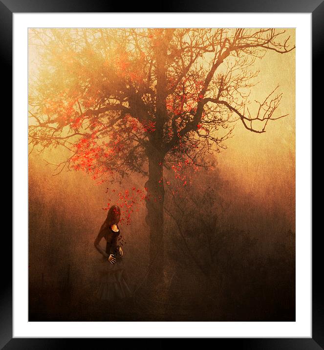 Autumn Weeps Framed Mounted Print by Dawn Cox
