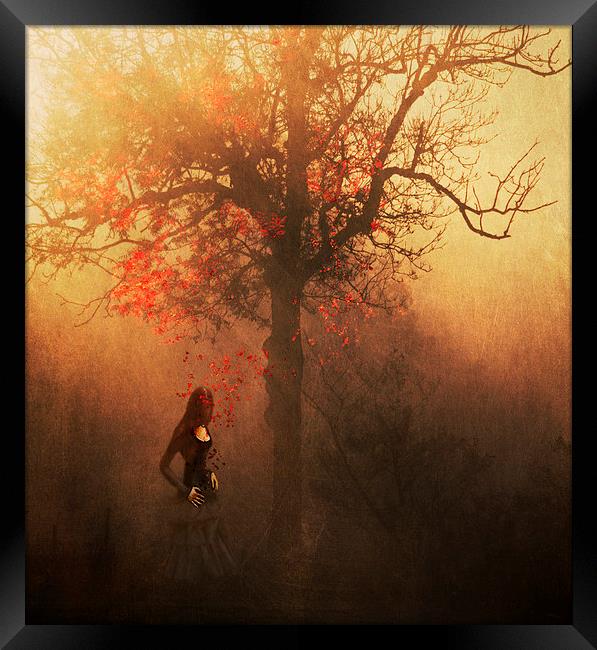Autumn Weeps Framed Print by Dawn Cox