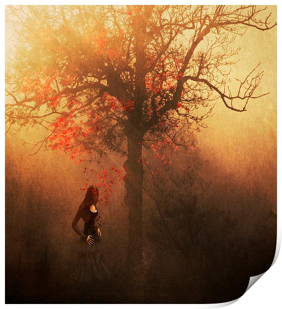 Autumn Weeps Print by Dawn Cox