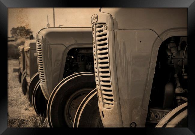 Ferguson TE20 Tractors Framed Print by Digitalshot Photography