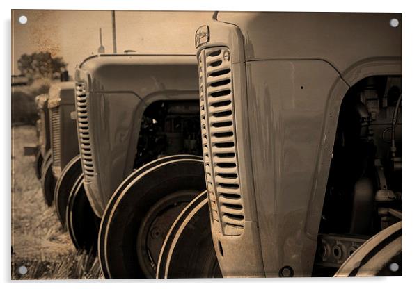 Ferguson TE20 Tractors Acrylic by Digitalshot Photography