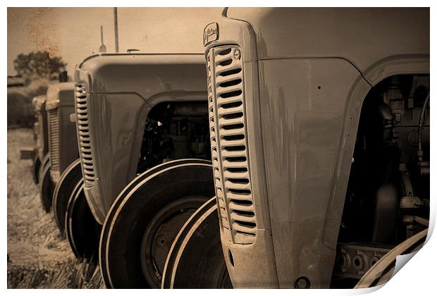 Ferguson TE20 Tractors Print by Digitalshot Photography