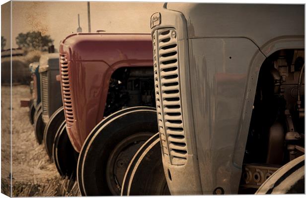 Classic Ferguson TE20 Tractors in Sepia Canvas Print by Digitalshot Photography