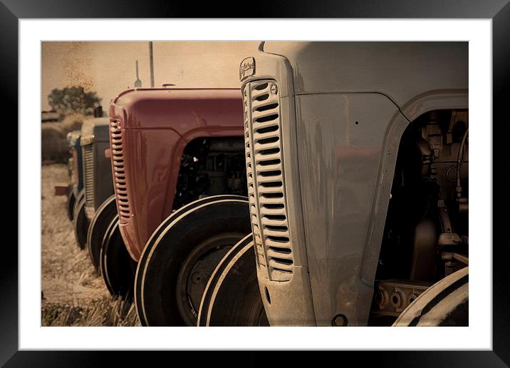 Classic Ferguson TE20 Tractors in Sepia Framed Mounted Print by Digitalshot Photography