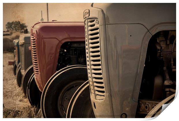 Classic Ferguson TE20 Tractors in Sepia Print by Digitalshot Photography