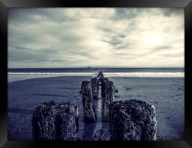 Groynes at Aberdeen Beach Framed Print by Vicky Mitchell