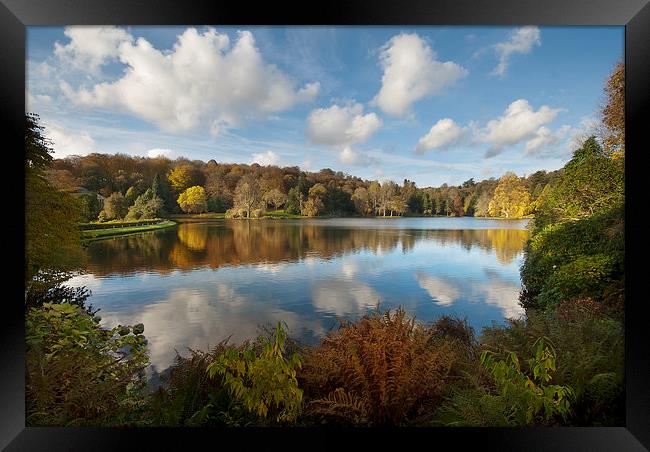 Autumn Beauty Framed Print by Eddie John