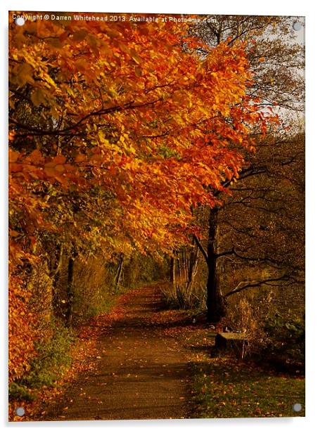 Autumn Walk Acrylic by Darren Whitehead