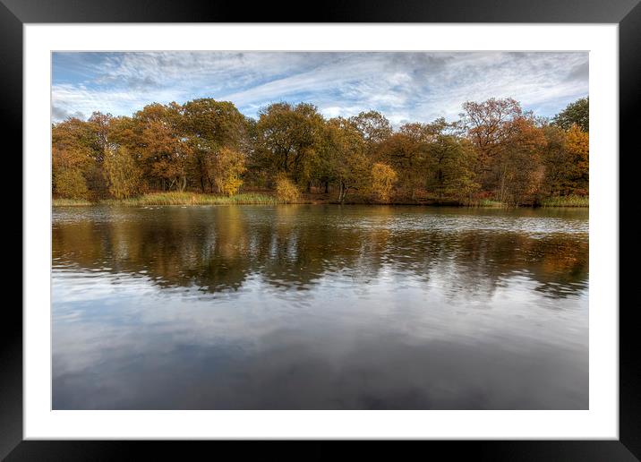 Autumn Ponds - 1 Framed Mounted Print by David Tinsley