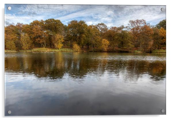 Autumn Ponds - 1 Acrylic by David Tinsley
