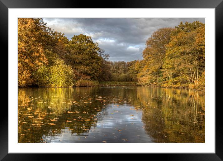 Autumn Ponds - 2 Framed Mounted Print by David Tinsley