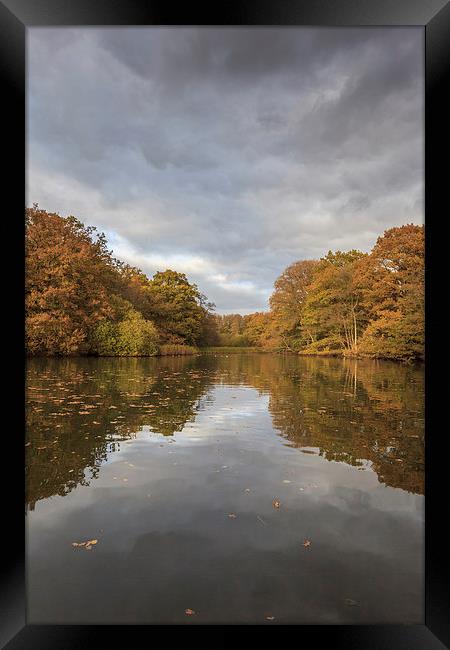 Autumn Ponds - 3 Framed Print by David Tinsley
