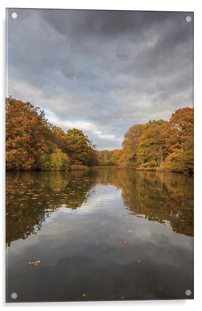 Autumn Ponds - 3 Acrylic by David Tinsley