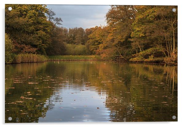 Autumn Ponds - 4 Acrylic by David Tinsley