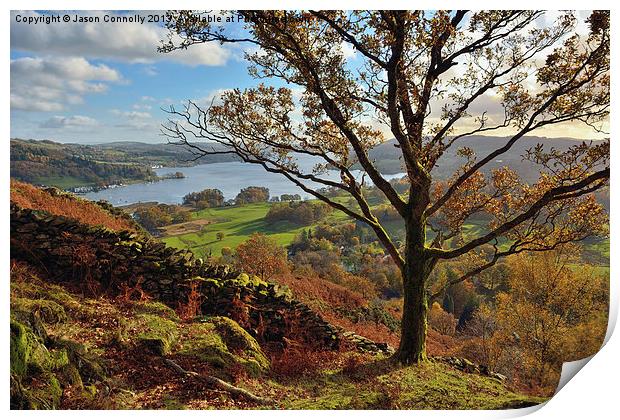 Views to windermere Print by Jason Connolly