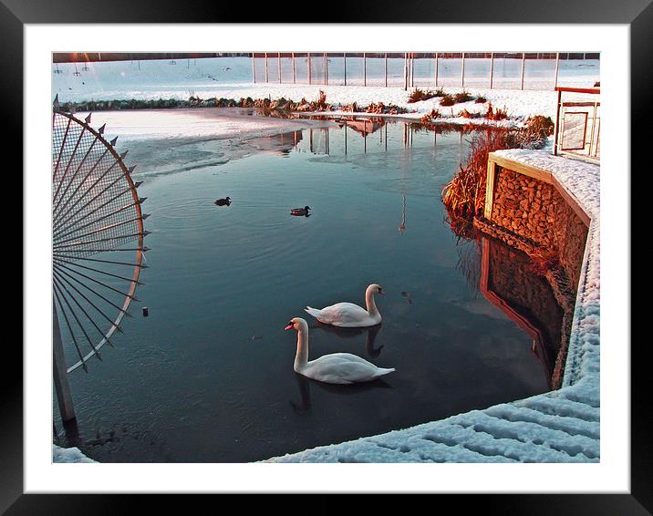 cold out there Framed Mounted Print by jim huntsman