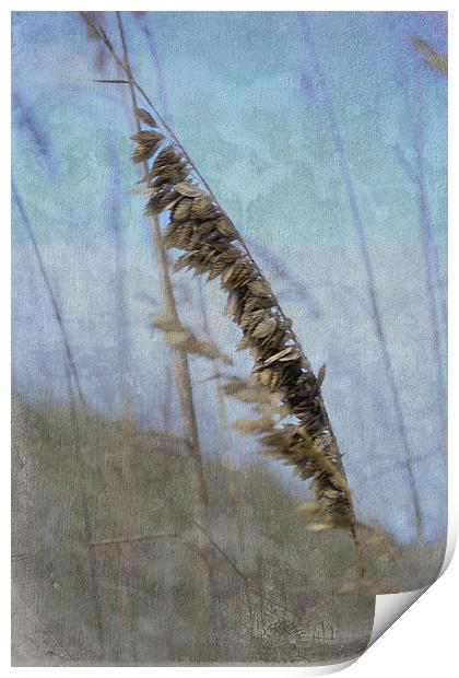 A Whisper in the Wind Print by Judy Hall-Folde