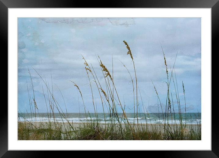 The Approach Framed Mounted Print by Judy Hall-Folde