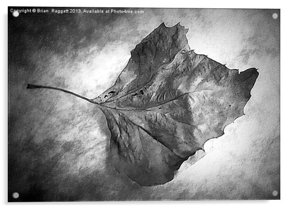 Fall Leaf Acrylic by Brian  Raggatt