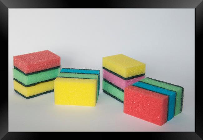 A variety of sponges Framed Print by steve akerman