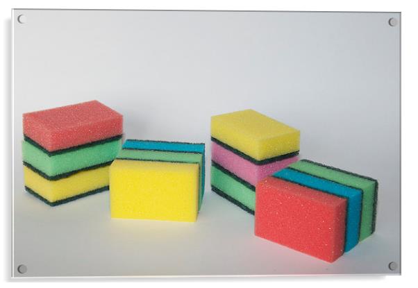 A variety of sponges Acrylic by steve akerman