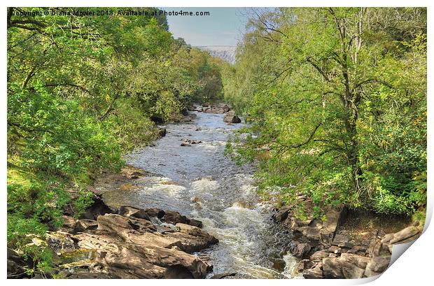 Penygarreg dam and stream Wales Print by Diana Mower