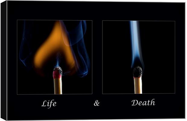 Life and Death Canvas Print by Sam Smith