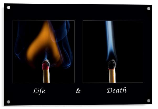 Life and Death Acrylic by Sam Smith