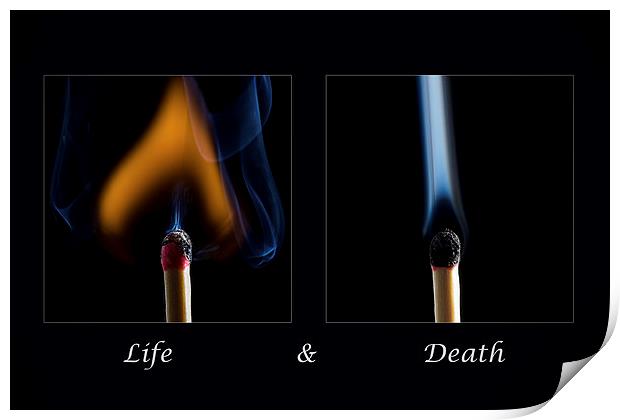 Life and Death Print by Sam Smith