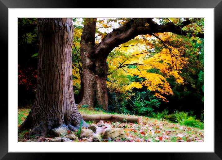 Autumn Peace Framed Mounted Print by Christine Lake
