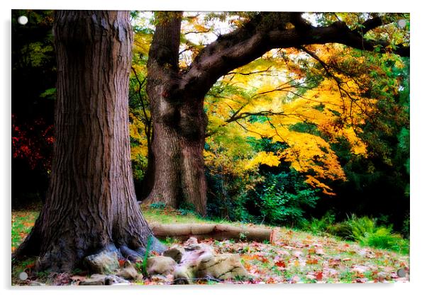 Autumn Peace Acrylic by Christine Lake