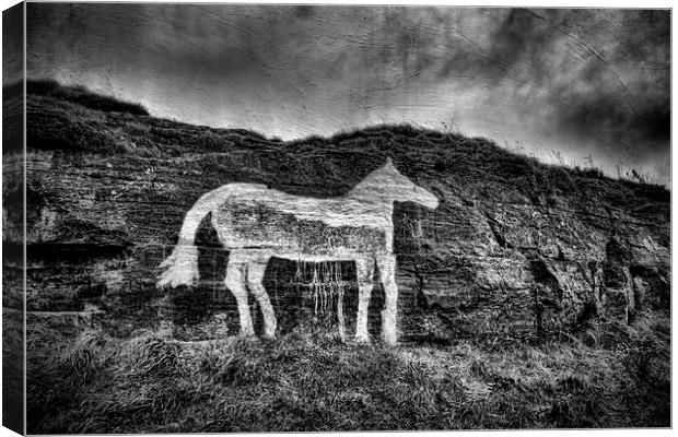 Grungy White Horse Canvas Print by Ray Pritchard