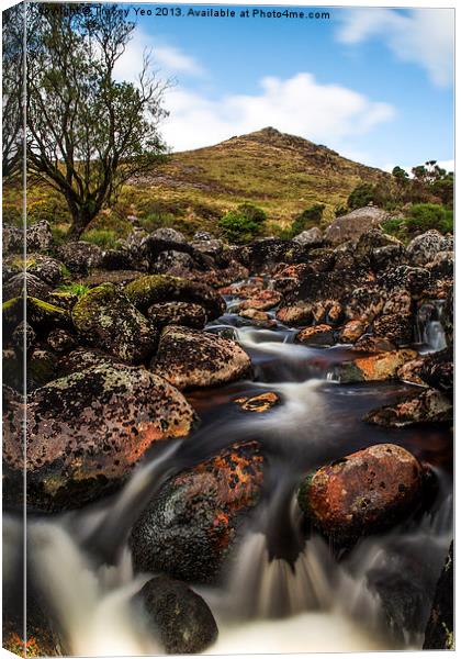 Tavy Cleave Canvas Print by Tracey Yeo