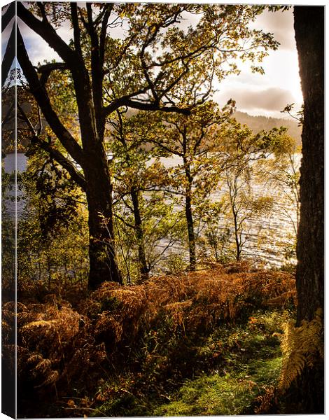 Loch Garry, Scotland, UK Canvas Print by Mark Llewellyn