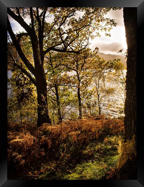 Loch Garry, Scotland, UK Framed Print by Mark Llewellyn
