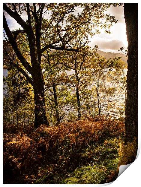 Loch Garry, Scotland, UK Print by Mark Llewellyn