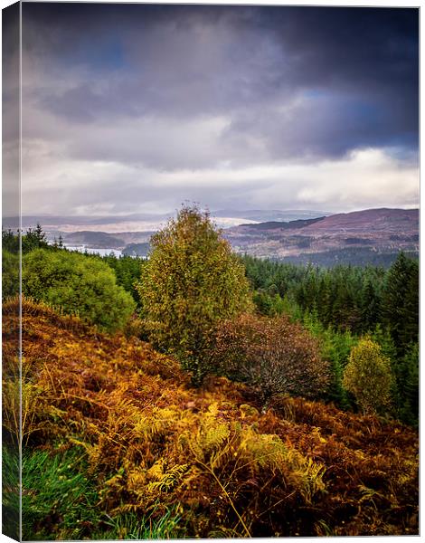 Loch Loyne, Scotland, UK Canvas Print by Mark Llewellyn