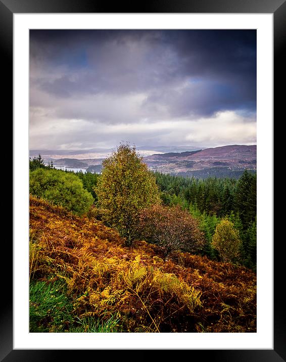 Loch Loyne, Scotland, UK Framed Mounted Print by Mark Llewellyn