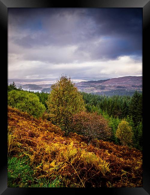 Loch Loyne, Scotland, UK Framed Print by Mark Llewellyn