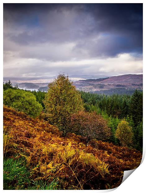 Loch Loyne, Scotland, UK Print by Mark Llewellyn