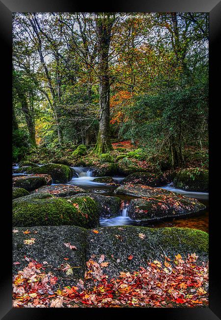 The End Of Summer Framed Print by Tracey Yeo