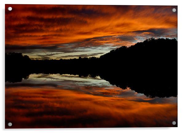 Lake Newport Sunset Acrylic by Bryan Olesen